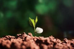 岳麓區(qū)網(wǎng)站開發(fā)公司從哪幾個(gè)方面選擇